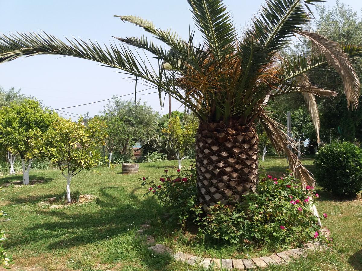 Athineos Apartments Kommeno  Luaran gambar